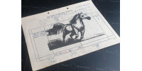 cal_integral_dreapta
