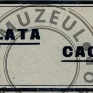 Berindei, ciocolată, cacao, bomboane