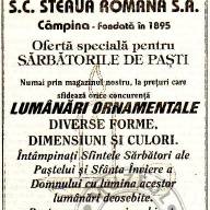 Steaua Română Câmpina