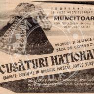 Muncitoarea Topoloveni